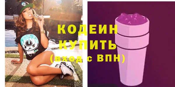 ГАЛЛЮЦИНОГЕННЫЕ ГРИБЫ Инсар