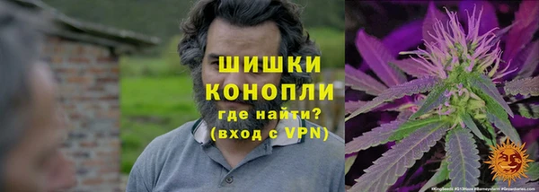 ГАЛЛЮЦИНОГЕННЫЕ ГРИБЫ Инсар