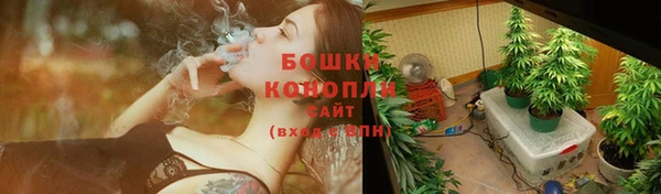 ГАЛЛЮЦИНОГЕННЫЕ ГРИБЫ Инсар