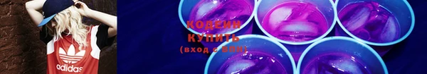 ГАЛЛЮЦИНОГЕННЫЕ ГРИБЫ Инсар