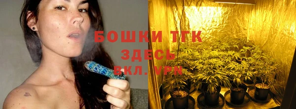ГАЛЛЮЦИНОГЕННЫЕ ГРИБЫ Инсар