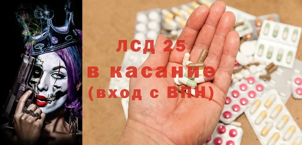 ГАЛЛЮЦИНОГЕННЫЕ ГРИБЫ Инсар
